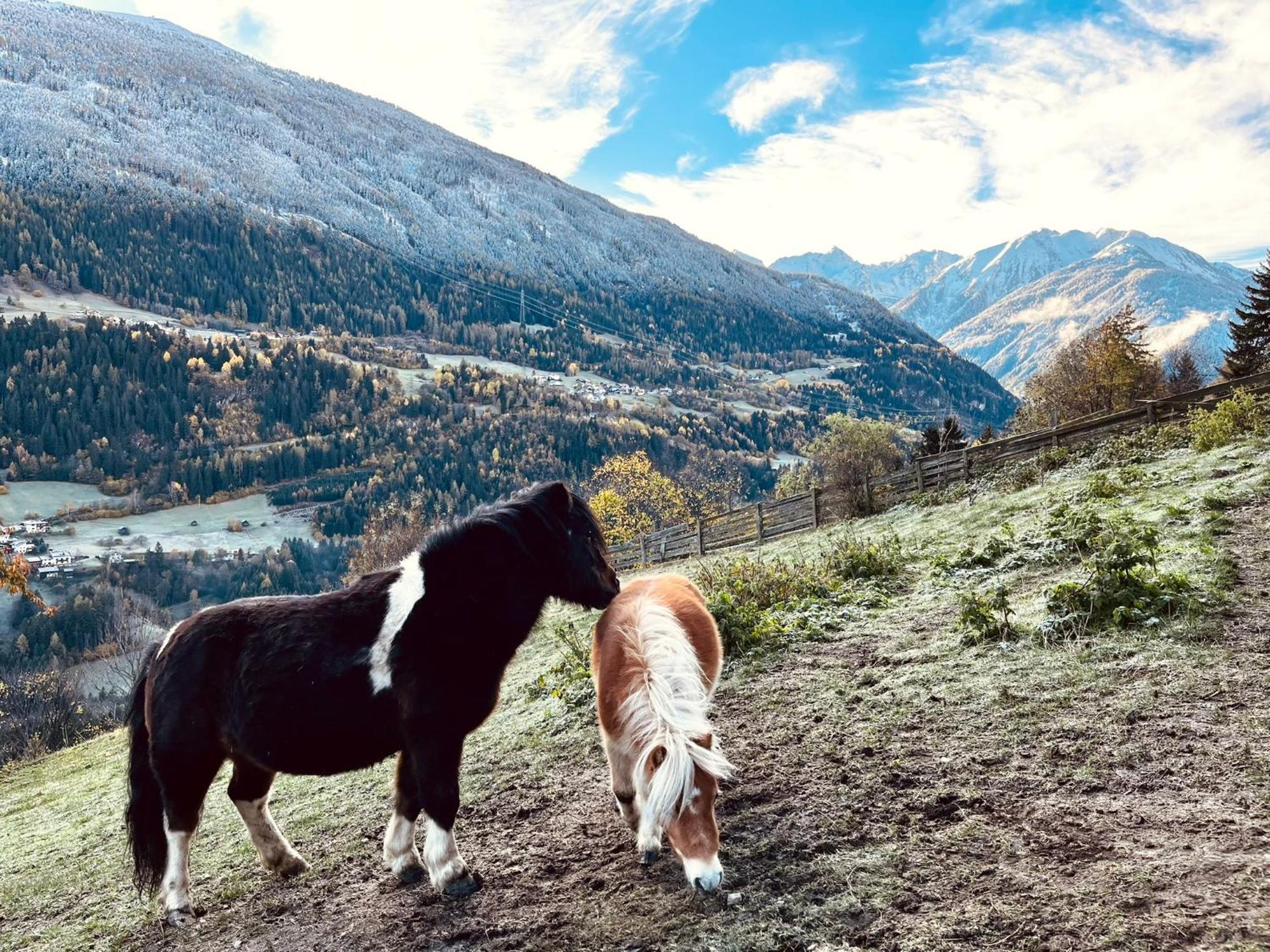 Apart Alpenzeit Arzl im Pitztal Kültér fotó